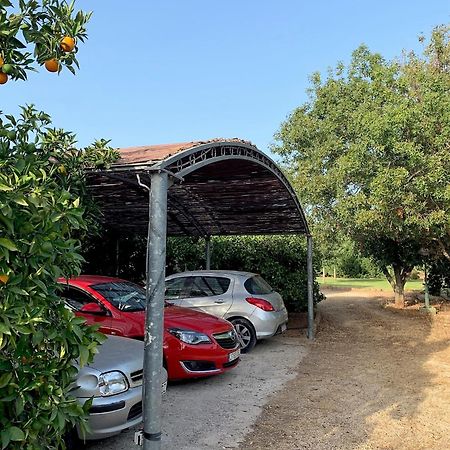 Casa Rural Con Encanto, 4 Hab Con 4 Banos Completos En Suite, Piscina Y Campo Privado Pedreguer Exterior foto