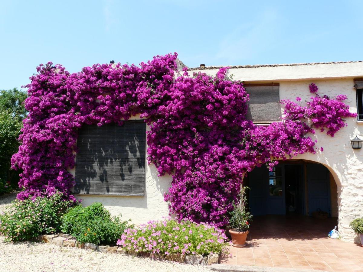 Casa Rural Con Encanto, 4 Hab Con 4 Banos Completos En Suite, Piscina Y Campo Privado Pedreguer Exterior foto